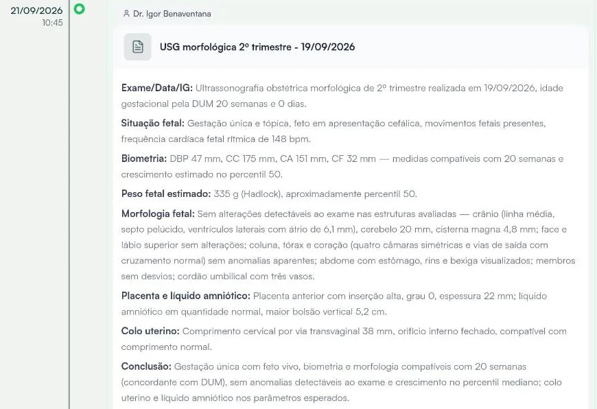 Histórico de atendimentos no Hit Clinic com o laudo de ultrassonografia morfológica de segundo trimestre anexado e resumido pela IA: idade gestacional de 20 semanas, situação fetal, biometria, peso fetal estimado, morfologia sem alterações, placenta e líquido amniótico, colo uterino e conclusão